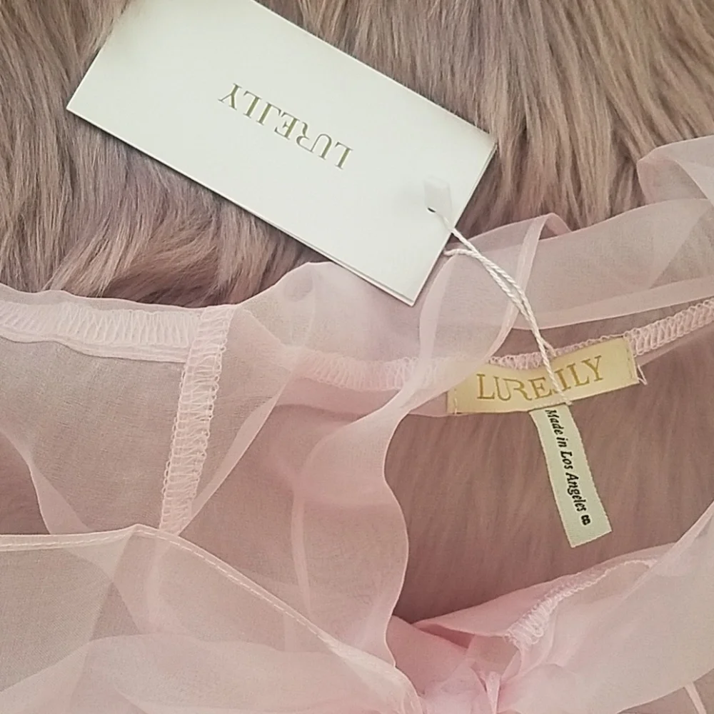 Sheer Lace Blouse in Blush - Picture 4 of 5